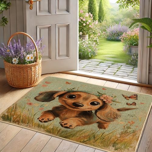 Fußmatte mit Frühlingsblumen-Motiv, niedliches Dackel-Design für den Innen- und Außenbereich, helle Farben, Heimdekoration, Gummi, wasserdicht, rutschfest, leicht zu reinigen, 73,2 x 43,2 cm von Generisch