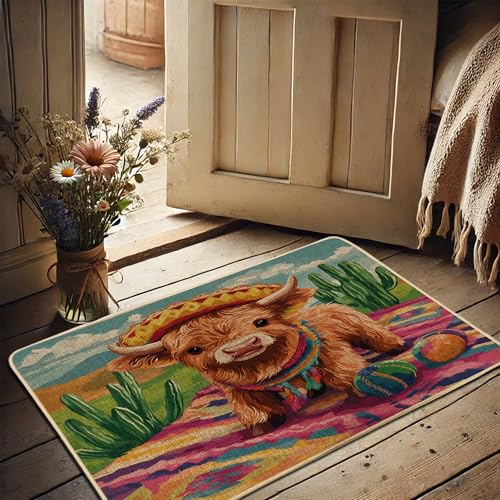 Fußmatte mit niedlichem Hochlandkuh, buntes Kuh-Design für den Innen- und Außenbereich, ausgefallene Dekoration für Frühling, rutschfest und leicht zu reinigen, tierfreundlich, 73 x 43 cm von Generisch