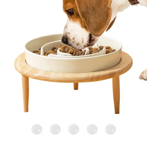 Futternapf Für Haustiere – Keramiknapf Für Haustiere, Futter- Und Wassernapf Für Hunde | Rutschfester Futternapf Aus Keramik Mit Erhöhtem Holzboden, Spülmaschinenfest, Futterzubehör, Entspannendes Futternapf Für Haustiere – Keramiknapf Für Haustiere, Futter- Und Wassernapf Für Hunde | Rutschfester Futternapf Aus Keramik Mit Erhöhtem Holzboden, Spülmaschinenfest, Futterzubehör, Entspannendes von Generisch