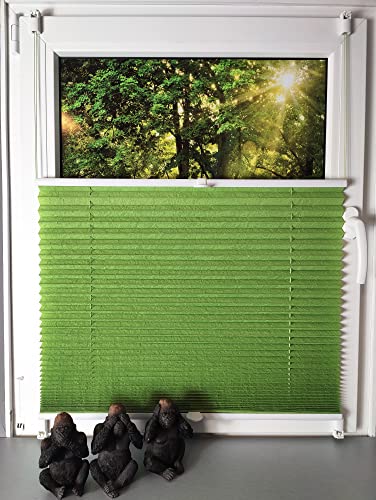 Gardinen Senay Klemmfix-Plissee verspannt mit Klemmträger, Crush-Optik, blickdichte Transparenz, Breite: 40 bis 120 cm / Länge: 130 cm und 210 cm, Farbe: Grün (120 x 130) von Generisch