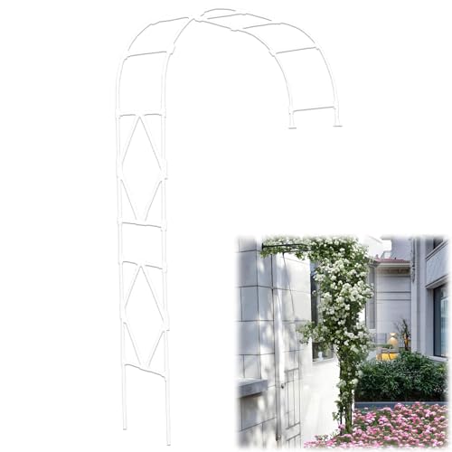 Garten Metallbogen für Kletterrosen Rankgitter Pergola Dekoration erhältlich in 120cm bis 280cm Breiten (weiß B240xH240cm) perfekt für Blumenunterstützung und Gartengestaltung von Generisch