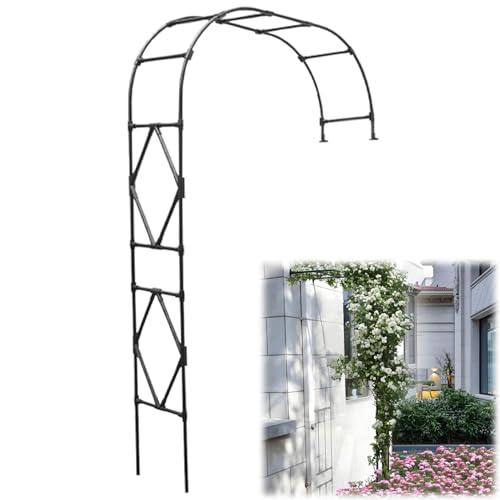 Garten Metallbogen für Kletterrosen Rankgitter Pergola Dekoration erhältlich in 120cm bis 280cm Breiten (weiß B240xH240cm) perfekt für Blumenunterstützung und Gartengestaltung von Generisch