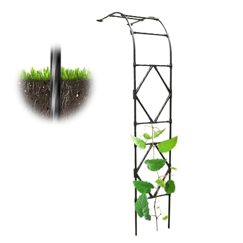 Gartenbogen Laube Pergola Rankhilfe Rahmen für Kletterpflanzen im Freien, Metall wetterfest, halbe Seite Unterstützung Torbogen Gartenbogen Laube Pergola Rankhilfe Rahmen für Kletterpflanzen im Freien, Metall wetterfest, halbe Seite Unterstützung Torbogen von Generisch