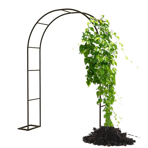 Gartenbogen Metall Outdoor Pergola für Kletterpflanzen Eisen Rosentorbogen 80-350cm breit Hochzeitsdeko Braun Gartenlaube (L350xB40xH220cm) von Generisch