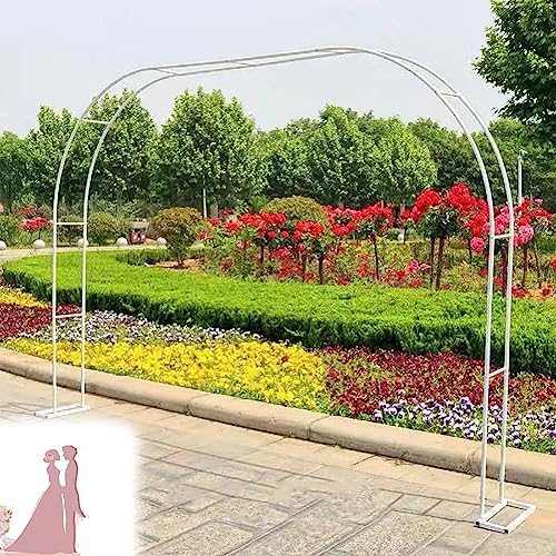 Gartenbogen Metallrahmen – wetterbeständiger Stahldorn für Kletterpflanzen, freistehend, Pergola-Spalier, 1,2 m bis 3,5 m Breite, grün, B 3 m x H 2,2 m Gartenbogen Metallrahmen – wetterbeständiger Stahldorn für Kletterpflanzen, freistehend, Pergola-Spalier, 1,2 m bis 3,5 m Breite, grün, B 3 m x H 2,2 m von Generisch