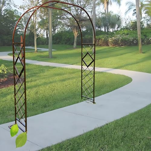 Gartenbogen Pergola Outdoor Rankhilfe für Kletterpflanzen Metall Gartenlaube für Gemüse und Blumen Hochzeit Zeremonie Dekoration Bronze Finish von Generisch