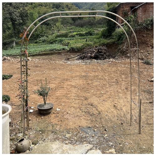 Gartenbogen-Pergola aus Edelstahl, verstellbare Größen, 120–350 cm, freistehende Laube für Outdoor-Dekoration, Torbogen im Freien (1,8 m x 2,4 m x 2,4 m) von Generisch