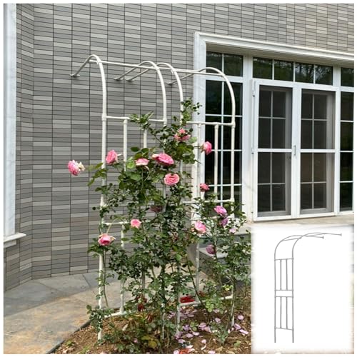 Gartenbogen Rankhilfe für Kletterpflanzen, stabile Outdoor-Rosenlaube Pergola, perfekt für Blumen und Gartenbau in Rasen und Hof Gartenbogen Rankhilfe für Kletterpflanzen, stabile Outdoor-Rosenlaube Pergola, perfekt für Blumen und Gartenbau in Rasen und Hof von Generisch