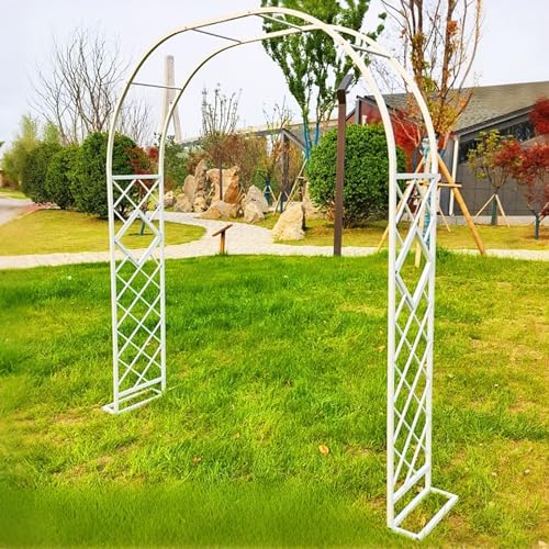 Gartenbogen aus Metall, 140 x 340 cm, stabile Pergola-Unterstützung für Rosen und Glyzinien, langlebig, dekorativ, gewölbtes Rankgitter für Veranstaltungen und Außenbereiche, Weiß, 300 x 230 cm Gartenbogen aus Metall, 140 x 340 cm, stabile Pergola-Unterstützung für Rosen und Glyzinien, langlebig, dekorativ, gewölbtes Rankgitter für Veranstaltungen und Außenbereiche, Weiß, 300 x 230 cm von Generisch