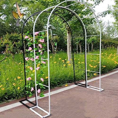 Gartenbogen aus Metall für Kletterpflanzen & Rosen Hochzeitsdekoration Rankgitter langlebige Outdoor-Gartenlaube für Reben erhältlich in Weiß/Schwarz – perfekt für Gartenbögen & Veranstaltungen von Generisch