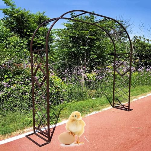 Gartenbogen aus Metall – stabile Unterstützung für Rosen & Reben, perfekt für die Landschaftsgestaltung im Freien, langlebiges Design für Gartenspalier & Dekoration Gartenbogen aus Metall – stabile Unterstützung für Rosen & Reben, perfekt für die Landschaftsgestaltung im Freien, langlebiges Design für Gartenspalier & Dekoration von Generisch