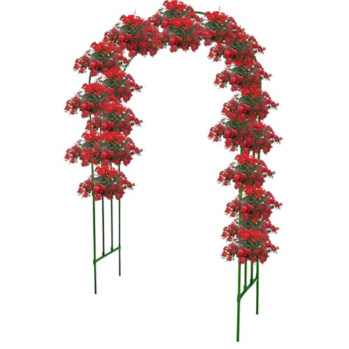 Gartenbogen für Kletterpflanzen - Rostfreies Metallspalier, stabile Pergola für Outdoor-Dekor und Hochzeitsfeiern von Generisch