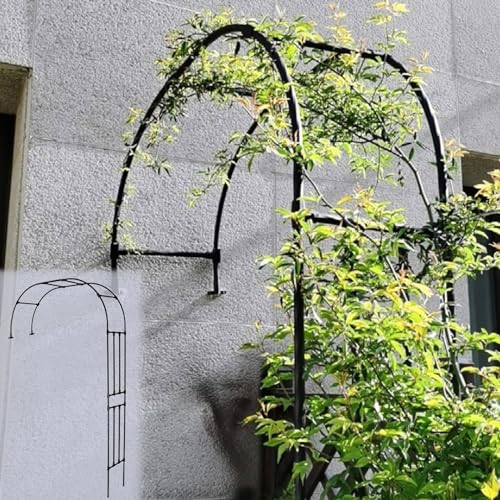 Gartenbogen für Kletterpflanzen Stahlrahmen Halbtorbogen H2.4/2.7 Einfache Montage Rosenspalier Dekorative Pergolastütze für Blumen und Gartenlaube von Generisch