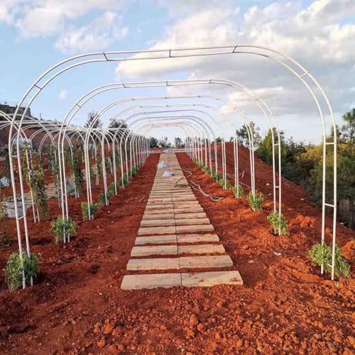 Gartenlaube, Rankgitter aus Metall, für Kletterpflanzen, rostfreie Rosenstützrahmen für Hochzeiten und Outdoor-Dekoration, verstellbarer Sockel (400 x 220 cm) von Generisch