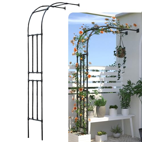 Gartenlaube, robuster Stahlrahmen für Kletterpflanzen und Außendekoration, halbbeschichtetes Design für Gartengestaltung von Generisch