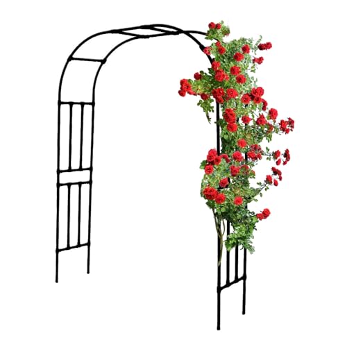 Gartenlaube 320 150 200 240 280 120 180 210 250 cm, Metallbogen Dekor für Zeremonie, Party, Torbogen, Rankhilfe für Kletterpflanzen, Outdoor, verzinkter Stahlrahmen Gartenlaube 320 150 200 240 280 120 180 210 250 cm, Metallbogen Dekor für Zeremonie, Party, Torbogen, Rankhilfe für Kletterpflanzen, Outdoor, verzinkter Stahlrahmen von Generisch