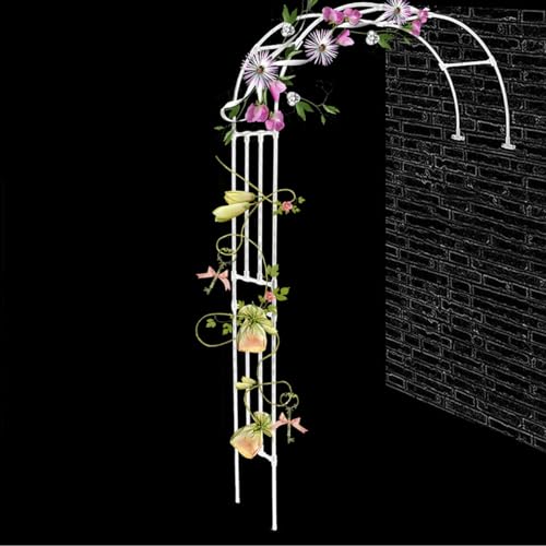 Gartenlaube Pergola aus Metall – stabiler Halbbogen für Kletterpflanzen und Blumen – wetterfestes Rankgitter für den Außenbereich von Generisch