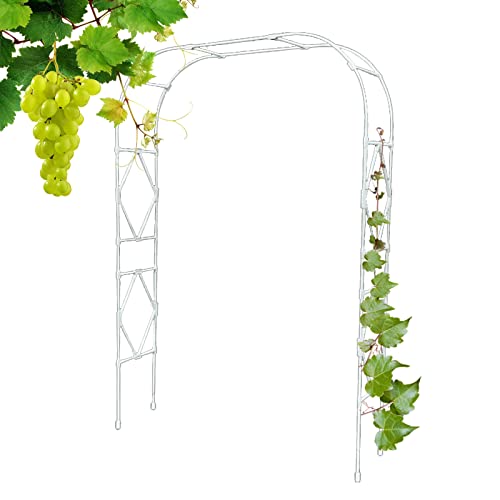 Gartenlaube Rankbogen Rankbogen für Kletterpflanzen Elegante Hochzeit und Party Dekoration von Generisch