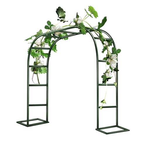 Gartenlaube Rosenbogen aus Metall, Pergola für Türen und Eingänge, robust und stilvoll, Größen: 80 x 200 cm, 120 x 220 cm, 200 x 230 cm, 350 x 220 cm (grün, 260 x 40 x 220 cm (L x B x H) von Generisch