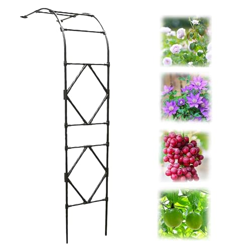 Gartenlaube aus Metall, halber Bogen, stabiler weißer Torbogen für Rosen und Ranken, 240 cm hoch, 200 cm breit, wetterfestes Rankgitter für den Außenbereich, Gartendekoration, starke und stabile Gartenlaube aus Metall, halber Bogen, stabiler weißer Torbogen für Rosen und Ranken, 240 cm hoch, 200 cm breit, wetterfestes Rankgitter für den Außenbereich, Gartendekoration, starke und stabile von Generisch
