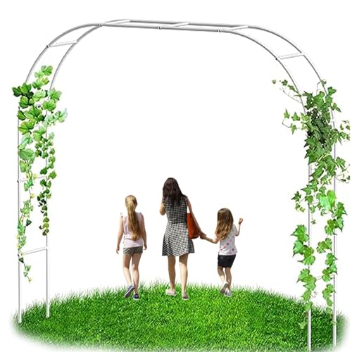 Gartenlaube aus Metall, mit Sockel, 160 cm x 220 cm, perfekt für Kletterpflanzen, Rankgitter, Dekoration, Garteneingang, elegante Landschaftsaufwertung, cremefarben von Generisch