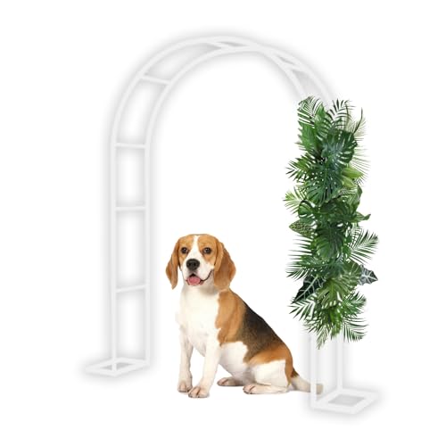Gartenlaube aus Metall für Kletterpflanzen wetterbeständig Hochzeit Zeremonie Party Dekoration von Generisch