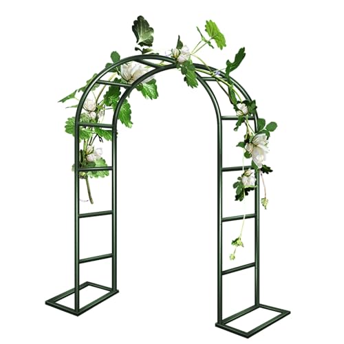 Gartenlaube aus Metall für Rosen im Freien, Pergola-Eingangsdekoration, robuster Stahlrahmen, verschiedene Größen 80 x 200 cm bis 350 x 220 cm, elegantes Grün, perfekt für Gärten und Gehwege von Generisch