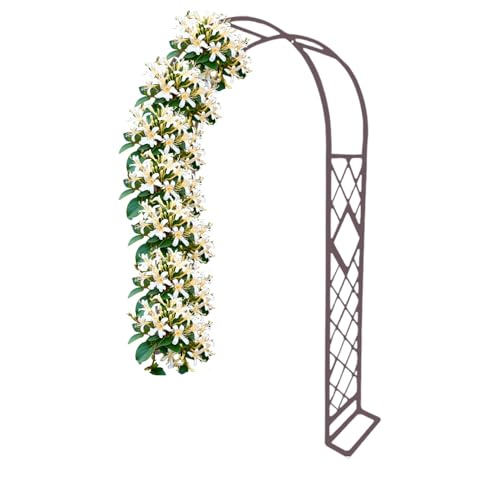 Gartenlaube mit Basis Rankhilfe für Kletterpflanzen robuste Metallstruktur für Pergolen im Freien für Terrassen, Höfe und Terrassen von Generisch