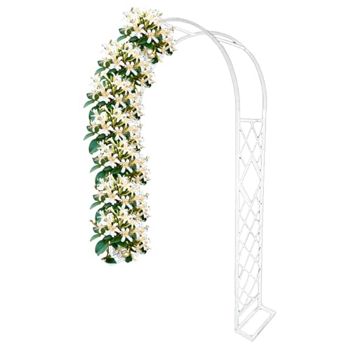 Gartenlaube mit Bodenspalier für Kletterpflanzen - robuste Metallstruktur für Terrassen, Höfe und Terrassen von Generisch