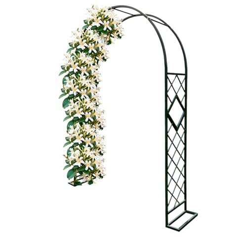 Gartenlaube mit Bodenspalier für Kletterpflanzen - robuste Metallstruktur für Terrassen, Höfe und Terrassen Gartenlaube mit Bodenspalier für Kletterpflanzen - robuste Metallstruktur für Terrassen, Höfe und Terrassen von Generisch