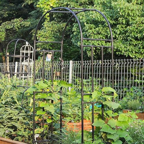 Gartenpavillon aus Metall für Kletterpflanzen, 120-320 cm breit, 240 cm hoch, perfekt für Hochzeiten, Festivals und Veranstaltungen im Freien, robuste Stahlkonstruktion. Gartenpavillon aus Metall für Kletterpflanzen, 120-320 cm breit, 240 cm hoch, perfekt für Hochzeiten, Festivals und Veranstaltungen im Freien, robuste Stahlkonstruktion. von Generisch