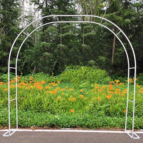 Gartenpergola aus Metall für Hochzeitsfeiern, 200 x 230 cm (B x H), Weiß & Grün – elegante Outdoor-Gartenlaube, Struktur, perfekt für Veranstaltungen und Feiern von Generisch