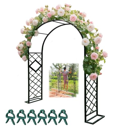 Gartenpergola aus rostbeständigem Stahl, gewölbtes Rankgitter für den Außenbereich, Tomaten und Reben, Hochzeits- und Terrassen-Hintergrund, inklusive Sockel und 6 Pflanzenstütz-Clips Gartenpergola aus rostbeständigem Stahl, gewölbtes Rankgitter für den Außenbereich, Tomaten und Reben, Hochzeits- und Terrassen-Hintergrund, inklusive Sockel und 6 Pflanzenstütz-Clips von Generisch