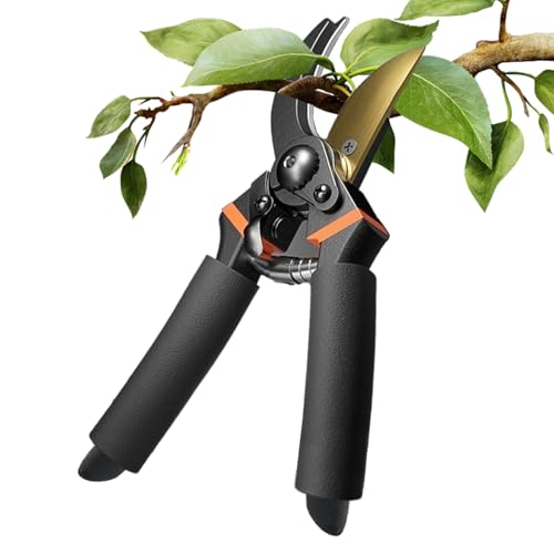 Gartenschere Handschere,Gartenscheren Pflanzen Scheren Strauchschere - Robuste Bypass Gartenschere Für Zweige Büsche Bäume Rasen Bonsai von Generisch