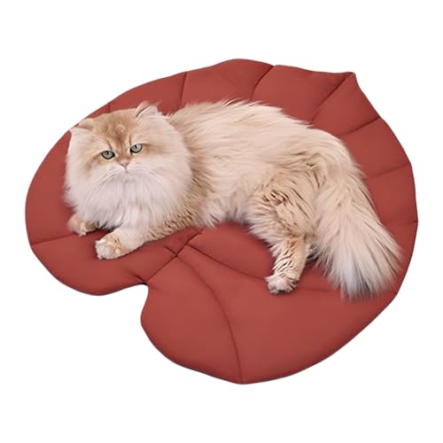 Generico Hundebett – für Sofa in Blattform, waschbar, weich, gemütlich, für Auto, Boden, Stuhl, Innenbereich, Camping Generico Hundebett – für Sofa in Blattform, waschbar, weich, gemütlich, für Auto, Boden, Stuhl, Innenbereich, Camping von Generisch