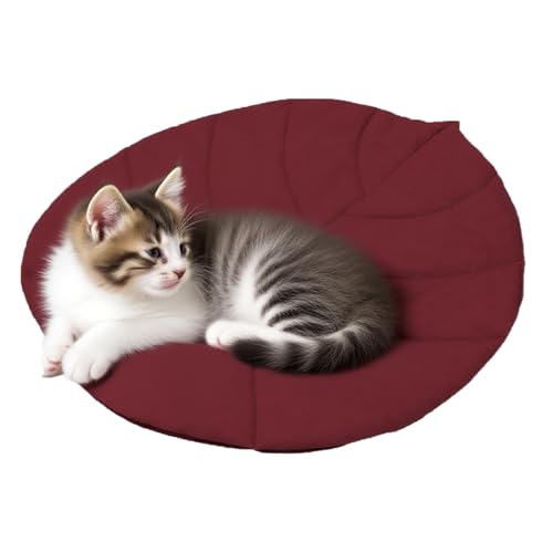 Generico Wasserdichte Haustiermatte – Thermische Decke in Blattform für Katzen | Für den Innen- und Außenbereich Zuhause Reise Wohnung Balkon Wohnzimmer Generico Wasserdichte Haustiermatte – Thermische Decke in Blattform für Katzen | Für den Innen- und Außenbereich Zuhause Reise Wohnung Balkon Wohnzimmer von Generisch