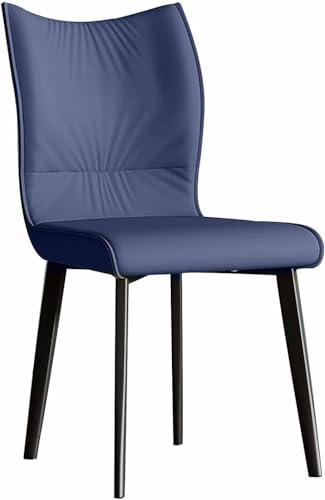 Generisch 2er-Set Metall-Freizeitstuhl for Wohnzimmer, Schlafzimmer, Küche, Industrie-Esszimmerstuhl(C) von Generisch