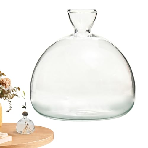 Generisch Avocado Vase - Pflanzenvase | Avocado-Baum-Anzuchtset | Avocado Baum Blumenvasen | Avocadopflanze-Samen-anzucht-Pflanzgefäß-Vase | Hydroponik Vase Pflanzenvase Aus Glas Für Gartenliebhaber Generisch Avocado Vase - Pflanzenvase | Avocado-Baum-Anzuchtset | Avocado Baum Blumenvasen | Avocadopflanze-Samen-anzucht-Pflanzgefäß-Vase | Hydroponik Vase Pflanzenvase Aus Glas Für Gartenliebhaber von Generisch