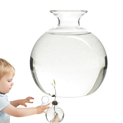 Generisch Avocado Vase - Pflanzenvase | Avocado-Baum-Anzuchtset | Avocado Baum Blumenvasen | Avocadopflanze-Samen-anzucht-Pflanzgefäß-Vase | Hydroponik Vase Pflanzenvase Aus Glas Für Gartenliebhaber Generisch Avocado Vase - Pflanzenvase | Avocado-Baum-Anzuchtset | Avocado Baum Blumenvasen | Avocadopflanze-Samen-anzucht-Pflanzgefäß-Vase | Hydroponik Vase Pflanzenvase Aus Glas Für Gartenliebhaber von Generisch