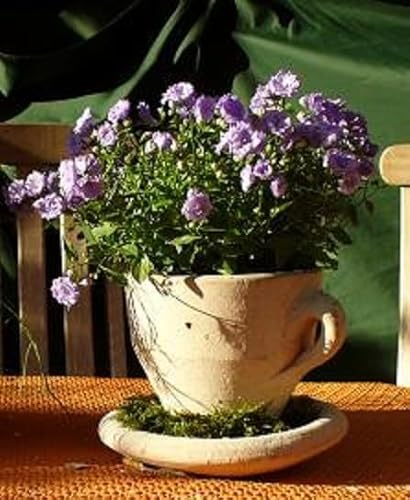 Generisch B-Ware ! Tasse mit festen Unterteller ca. 15 cm hoch, echt Terracotta ohne Deko !! Terrakotta Garten Deko Blumentopf Pflanztopf Übertopf von Generisch