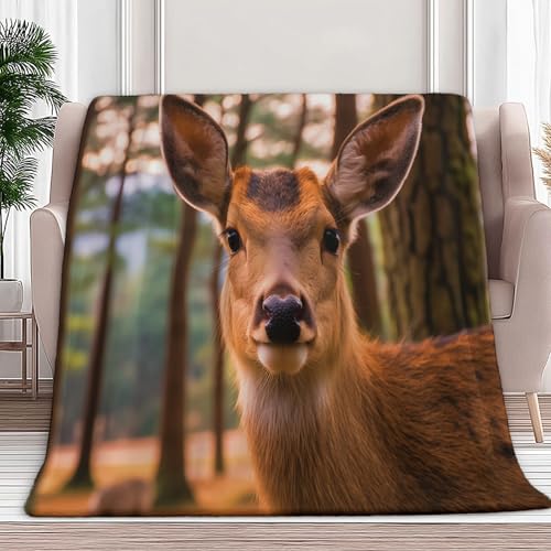 Generisch Braun Sherpa Fleecedecke Flauschige Japanischer Parktierhirsch Kuscheldecke für Kinder, Flauschig Wohndecke Wolldecke 150x200 cm Sofa Couch Bett Decken Sofaüberwurf überwurf Decke von Generisch