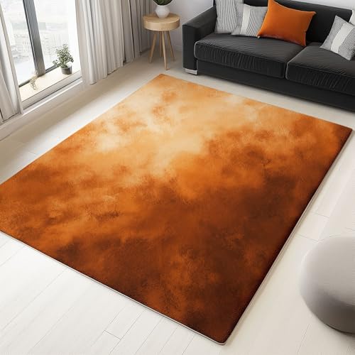 Generisch Braun Teppich Samt Textur Wohnzimmer Teppich 140 x 200 cm rutschfest Flanell Teppiche, für Flur Schlafzimmer Küche Korridor Wohnkultur Fußmatte von Generisch
