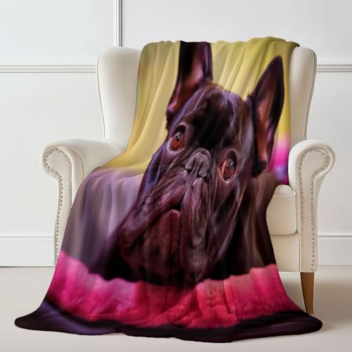 Generisch Dunkelgrau Kuscheldecke 100 x 130 cm, Tier Nahaufnahme Bulldogge Drucken Kuscheldecke für Reisen Bett Sofa Büro Wohnzimmer - Flanell Weiche Comfort Flauschig Generisch Dunkelgrau Kuscheldecke 100 x 130 cm, Tier Nahaufnahme Bulldogge Drucken Kuscheldecke für Reisen Bett Sofa Büro Wohnzimmer - Flanell Weiche Comfort Flauschig von Generisch