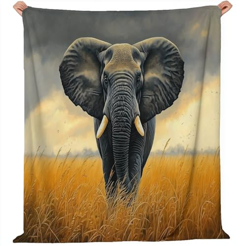 Generisch Flanell Kuscheldecke Tier Wiese Elefant Thema, Grau Gelb Atmungsaktiv Leicht Überwurf für Sofa Camping Reisen Bett Raumdekoration - 220 x 240 cm Kuscheldecke Reißfestigkeit Generisch Flanell Kuscheldecke Tier Wiese Elefant Thema, Grau Gelb Atmungsaktiv Leicht Überwurf für Sofa Camping Reisen Bett Raumdekoration - 220 x 240 cm Kuscheldecke Reißfestigkeit von Generisch