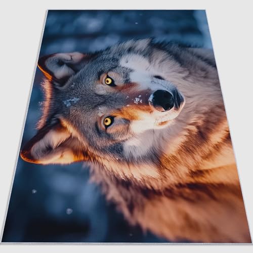 Generisch Flanell Teppich Tier Nahaufnahme Wolf Thema, Braune Dunkelblau Soft Touch Teppiche 160 x 230 cm für Kinder Wohnzimmer Schlafzimmer - Leicht Zu Reinigen Mit rutschfest Rückendeckung Generisch Flanell Teppich Tier Nahaufnahme Wolf Thema, Braune Dunkelblau Soft Touch Teppiche 160 x 230 cm für Kinder Wohnzimmer Schlafzimmer - Leicht Zu Reinigen Mit rutschfest Rückendeckung von Generisch