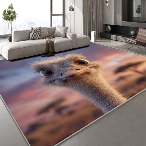 Generisch Flanell Teppich Wohnzimmer Strauß Tier Muster Flauschig Weich rutschfest Tropisch Grasland Teppiche Fußmatte Living Room Deko Schlafzimmer Flur Läufer Indoor Carpet Spielteppich 180x240 cm von Generisch