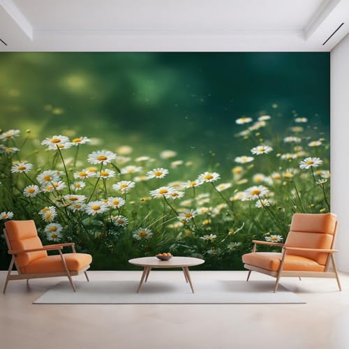 Generisch Gänseblümchen Tapete, Fototapete Blumen Wiese Gänseblümchen, Vliestapete für Schlafzimmer Wohnzimmer, Wand Deko Tapeten, Wandverkleidung 500x350 cm D&O59 Generisch Gänseblümchen Tapete, Fototapete Blumen Wiese Gänseblümchen, Vliestapete für Schlafzimmer Wohnzimmer, Wand Deko Tapeten, Wandverkleidung 500x350 cm D&O59 von Generisch