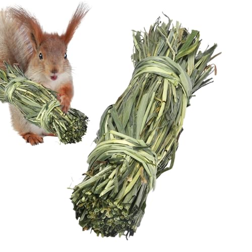 Generisch Grasball, Kaninchen-Kauball, 15x3,5/10x10cm Haustierbälle Timothy Gras Mahlkauspielzeug, Kaninchen Zubehör Für Meerschweinchen Hase Chinchilla Hamster Rennmäuse Generisch Grasball, Kaninchen-Kauball, 15x3,5/10x10cm Haustierbälle Timothy Gras Mahlkauspielzeug, Kaninchen Zubehör Für Meerschweinchen Hase Chinchilla Hamster Rennmäuse von Generisch
