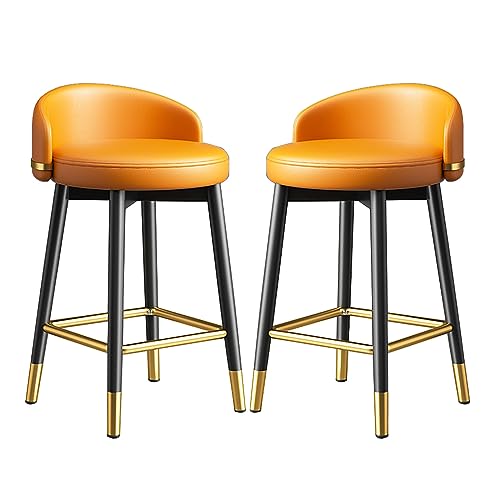 Generisch High Stool Set mit 2, Metal Barhocker mit Rückenlehne für Kücheninsel oder Heimat, modernes Design mit robusten Metallbeinen, ideal zum Frühstück oder Essen von Generisch