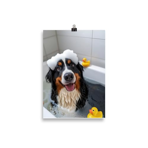 Generisch Hunde in der Badewanne - Berner Sennenhund Badezimmer-Bild, Klo-Poster, Deko fürs Badezimmer oder Gäste-WC, Lustig, Ungerahmt von Generisch